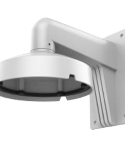 DS-1273ZJ-DM25-M1