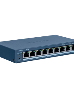 DS-3E1309P-EI/M