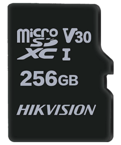 HS-TF-M1STD-256G-V2